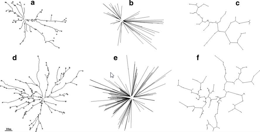 Reaction Diffusion